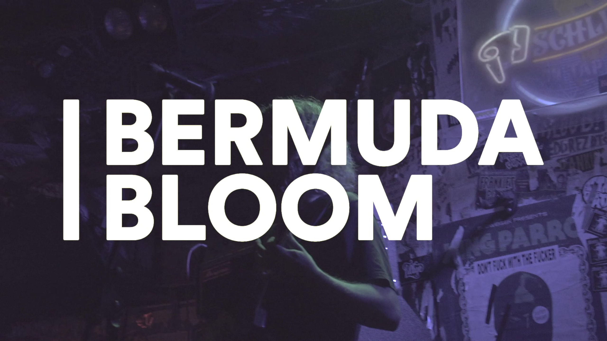 Bermuda Bloom Live